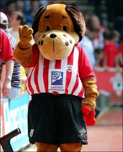 C'est un gentil pitou et tout le monde aime les chiens amicaux, même en boxer noir. Celui-ci joue pour les Saints, en première ligue, pour cette ville du sud de l'Angleterre. Son prénom s.v.p. ?