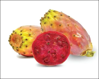 Sur quel arbre pousse la figue de Barbarie ?