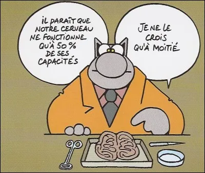 C'est une zone de contact fonctionnelle qui s'établit entre deux neurones :