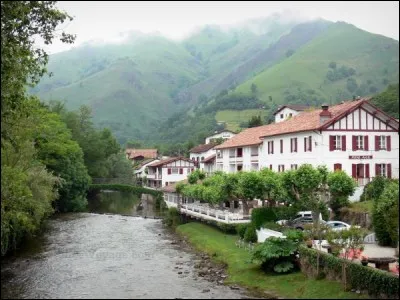 Autour de Saint-Étienne-de-Baïgorry, un vignoble doté d'une AOC et d'une AOP donne des vins rouges, blancs et rosés. Il s'agit de...