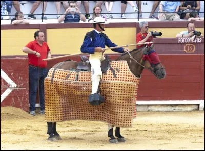 Quelle est la bonne orthographe de cette housse de protection pour les chevaux ?