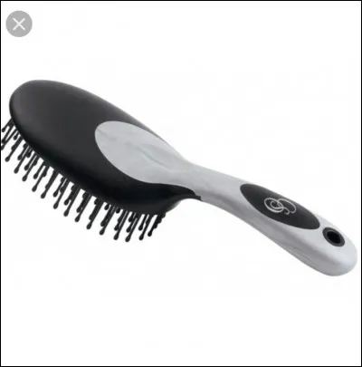 Comment appelle-t-on la brosse pour la crinière, la croupe et la queue ?