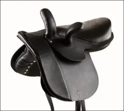 C'est une selle...