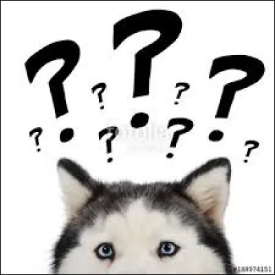 Quelle est la bonne expression ?