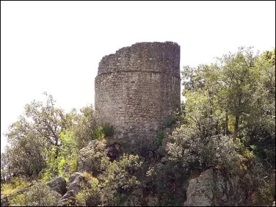 Les pigeonniers sud-est et sud-ouest &eacute;taient vo&ucirc;t&eacute;s...