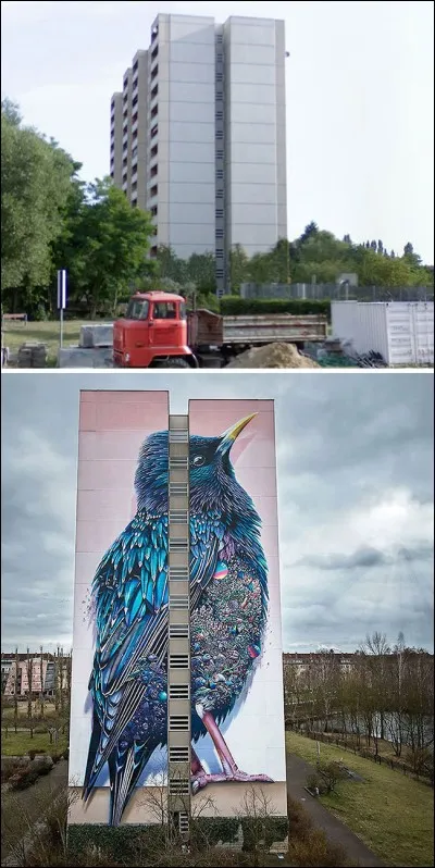 Les artistes des Pays-Bas Super A et Collin van der Sluijs, se sont unis pour créer une façade de 42 m sur 2 murs ternes à Berlin. On y voit maintenant, un grand oiseau bleu et pourpre, couvert de belles plumes.
Quel nom ont-ils donné à leur oeuvre ?