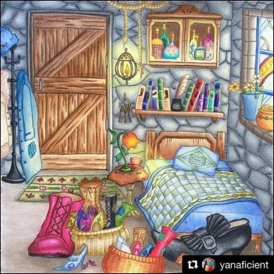 De quelle couleur était la chambre dans le titre d'un roman de Simenon ?