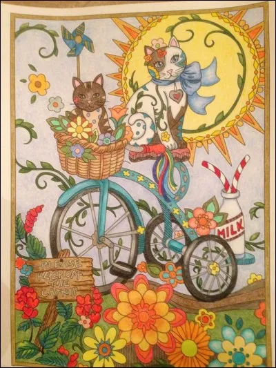 De quelle couleur était la bicyclette, dans le roman de Régine Deforges ?