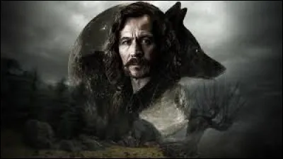 D'où vient le nom de Sirius ?