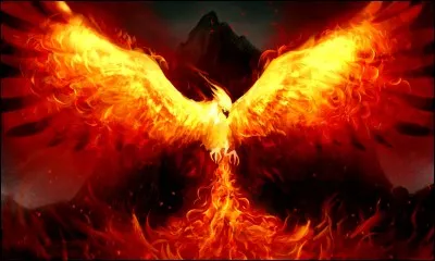 Qui est apparu en premier ?