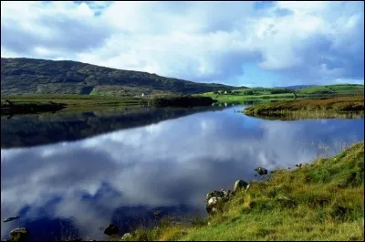 Qui a chanté "Les lacs du Connemara" en 1981 ?
