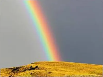 Quelle couleur obtient-on si on mélange le jaune et le rouge ?