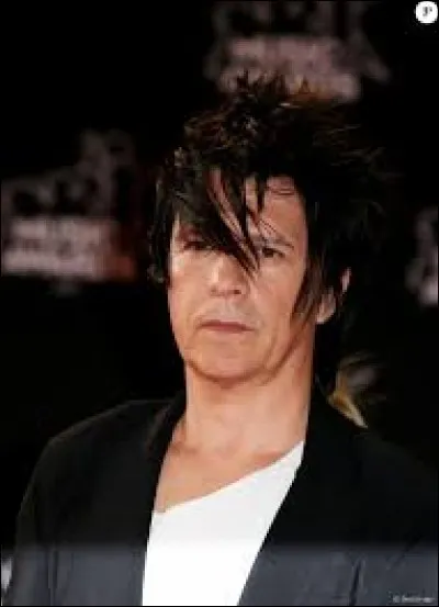 Quel groupe de musique Nicolas Sirkis a-t-il fondé ?