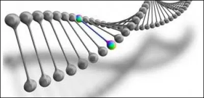 Très connu en génétique.