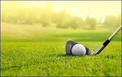 Sport pratiqué par "Tiger Woods".