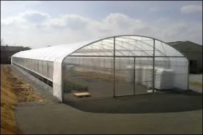 Structure en plastique ou en verre.