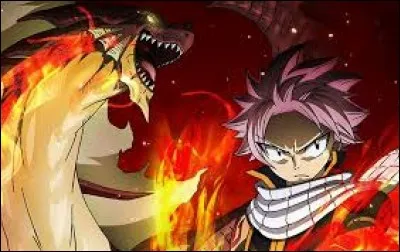 Qui est le frère de Natsu ?