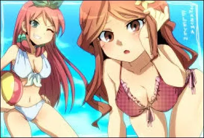 Quelle fille de la s&eacute;rie anim&eacute;e ''Inazuma Eleven'' pr&eacute;f&egrave;res-tu ?