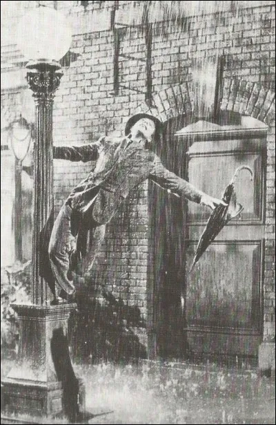 Avec Gene Kelly, quel est l'autre r&eacute;alisateur de cette com&eacute;die musicale ?