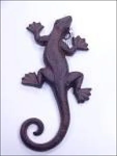 Les lézards sont...
