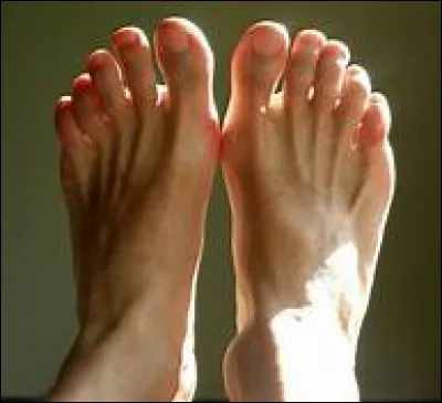 Combien de doigts de pied a-t-on ?
