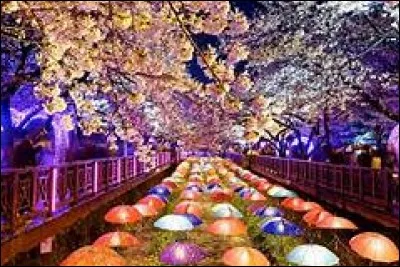 En combien de parties la Corée est-elle divisée ?