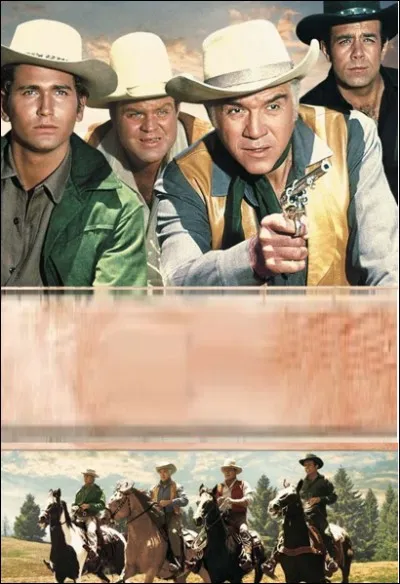 Quelle est cette série ?