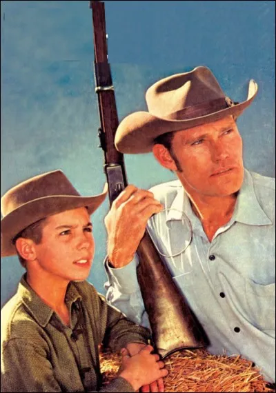 Quelle est cette série ?