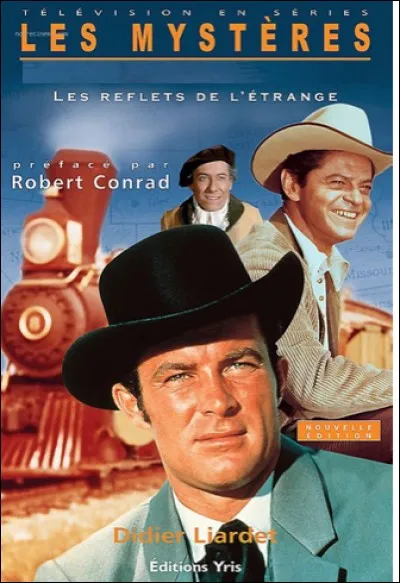 Quelle est cette série ?