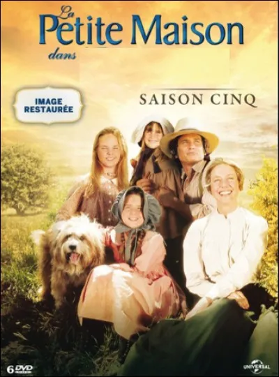Quelle est cette série ?