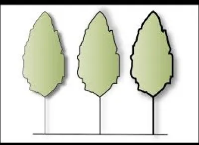 Selon vous, quelle superficie de la ville de Seraing est composée de forêt ?