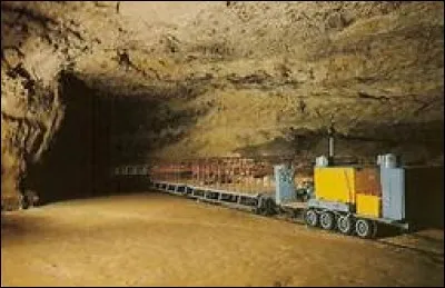 Vrai ou faux ?
La grotte de Rouffignac se trouve en Dordogne.