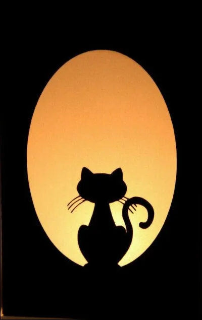 Dans l'Islam le chat a une image :