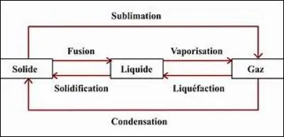 Quelle est la température de fusion de la théanine ?