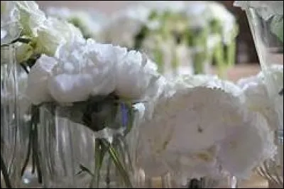 Je suis une couleur associée à la pureté qui désigne aussi un grand silence...