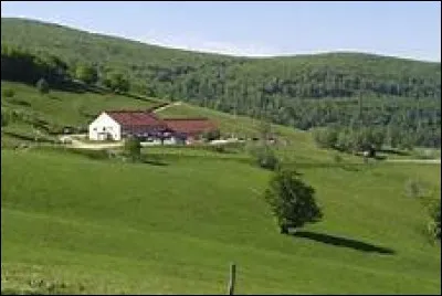 Sous forme d'adjectif, je suis très résistant à toute pression psychologique ou physique ; sous forme de nom, je suis un habitat souvent rural...