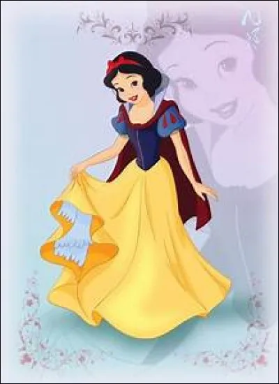 A quel âge étant celui de la princesse Blanche-Neige au début du Disney Ethan Sonnerborn se porta-t-il candidat au poste de gouverneur du Vermont ?