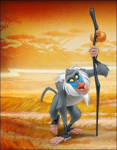 Le prénom de ce singe est ...