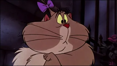 Le prénom de ce chat est ...