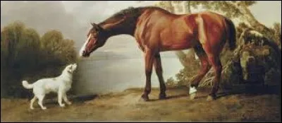 Cochez le pays de George Stubbs !