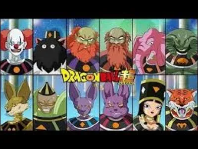 Comment s'appelle le Dieu de la Destruction de l'univers 11 ?