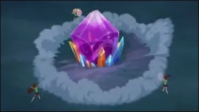 Quel est le nom de leurs formations ?