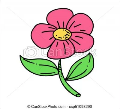 De quelle couleur est l'acacia ?