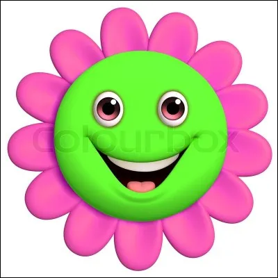 Quelle est la couleur de la primevère ?