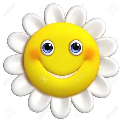 Comment voyez-vous la fleur de pissenlit ?