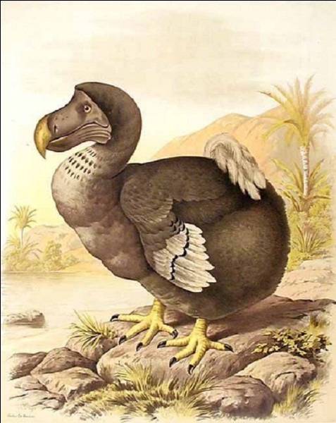 Le 'dodo' est l'oiseau emblématique de quelle île ?