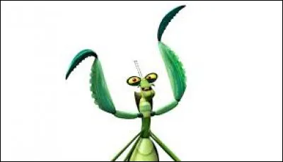 Cet insecte se nomme...