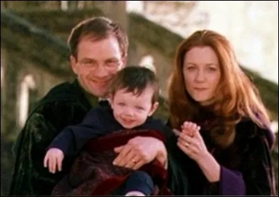 Aimes-tu les Potter ?