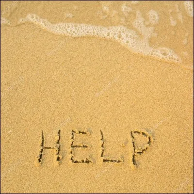 Maintenant, vous devez dessiner un message au sol pour que quelqu'un puisse vous trouver.
Quelle proposition est la plus appropriée ?