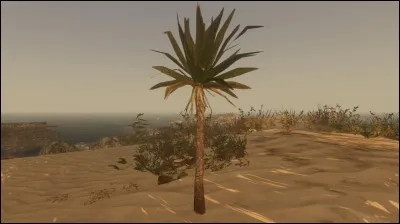 Quel est le nom de cette plante qui peut se trouver sur l'île où vous êtes échoué ?